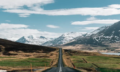 New Zealand Immigration Consultants background picture